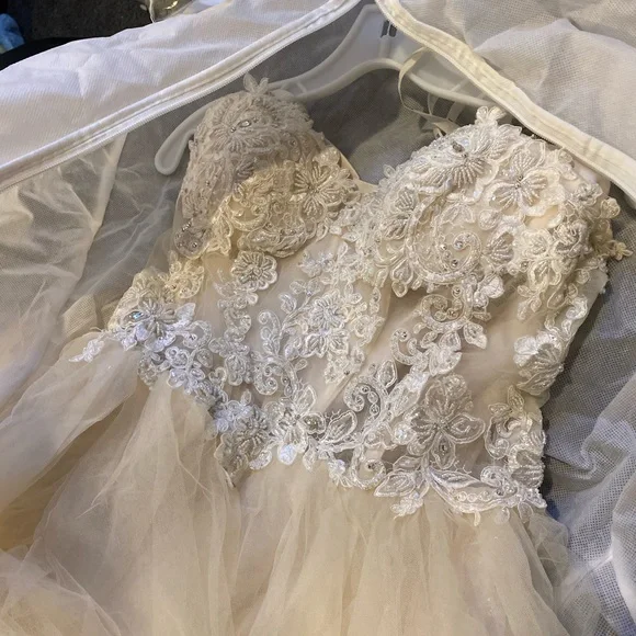 Randy Fenoli Wedding Dress - Picture 3 of 3